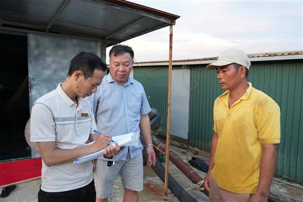 Phường Hải Dương triển khai các biện pháp ứng phó với mưa bão, bảo đảm an toàn cho Nhân dân