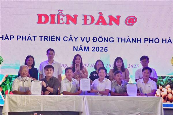 Hải Phòng thúc đẩy phát triển cây vụ Đông năm 2025