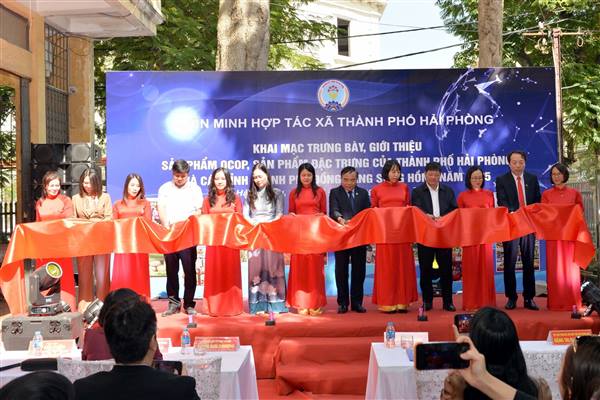 Liên minh HTX Cụm thi đua số 2 tổng kết năm 2025: Khẳng định hiệu quả kinh tế tập thể, hướng tới bứt phá năm 2026