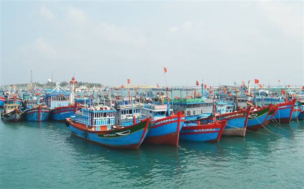 Triển khai Tháng cao điểm chống khai thác hải sản bất hợp pháp, không theo quy định và phát triển bền vững ngành thủy sản trên địa bàn thành phố 