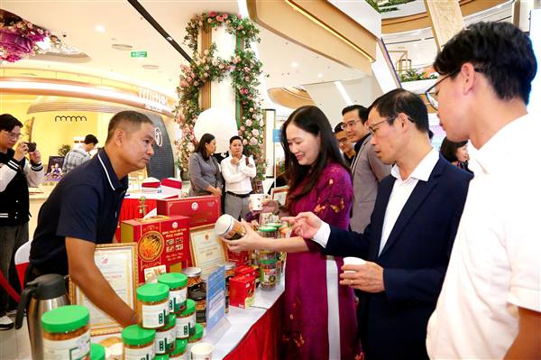 Gần 100 sản phẩm tham gia Ngày mua sắm trực tuyến Hải Phòng 2025