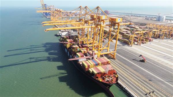 Báo cáo tổng hợp tình hình thực hiện nhiệm vụ phát triển kinh tế- xã hội tháng 11 và 11 tháng, một số nhiệm vụ trọng tâm tháng cuối năm 2025