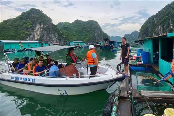 Sở Văn hóa, Thể thao và Du lịch thành phố&nbsp;chủ động triển khai phương án ứng phó với Bão số 3&nbsp;(Bão&nbsp;Wipha) tại các khu, điểm du lịch và cơ sở lưu trú