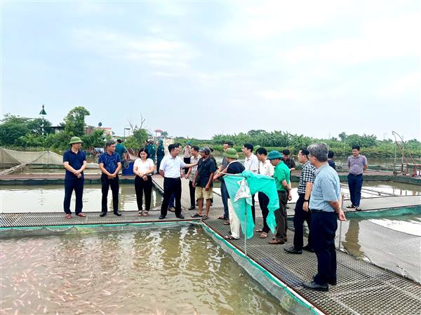 Phó Chủ tịch UBND thành phố Trần Văn Quân kiểm tra công tác phòng chống lụt bão, đảm bảo an toàn các lồng bè nuôi cá trên sông 