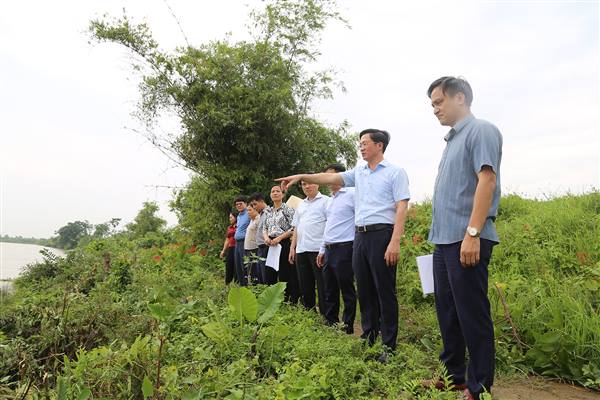 Phó Bí thư Thành ủy, Chủ tịch Ủy ban MTTQ Việt Nam thành phố Phạm Văn Lập kiểm tra công tác ứng phó Bão số 3 tại xã Tân Minh và xã Ninh Giang

