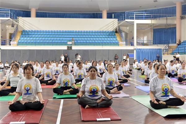 Ngày Quốc tế Yoga năm 2025&nbsp;tại Hải Phòng&nbsp;với chủ đề “Yoga vì Một trái đất, Một sức khỏe chung"