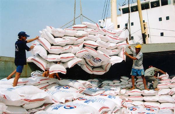 Thông tin về việc Philippines tạm dừng nhập khẩu gạo trong vòng 60 ngày