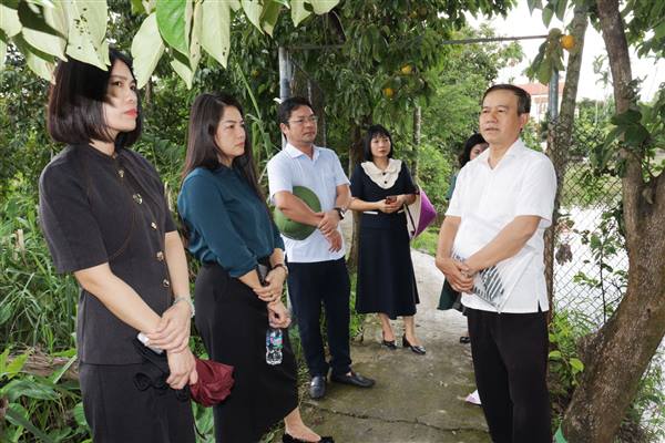 Giám sát việc thực hiện chính sách, pháp luật đối với người lao động tại Hợp tác xã sản xuất kinh doanh dịch vụ nông nghiệp An Lư
