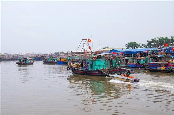 Hải Phòng ban hành Kế hoạch phòng, chống thiên tai năm 2025: Huy động đồng bộ lực lượng, phương tiện, sẵn sàng ứng phó sự cố