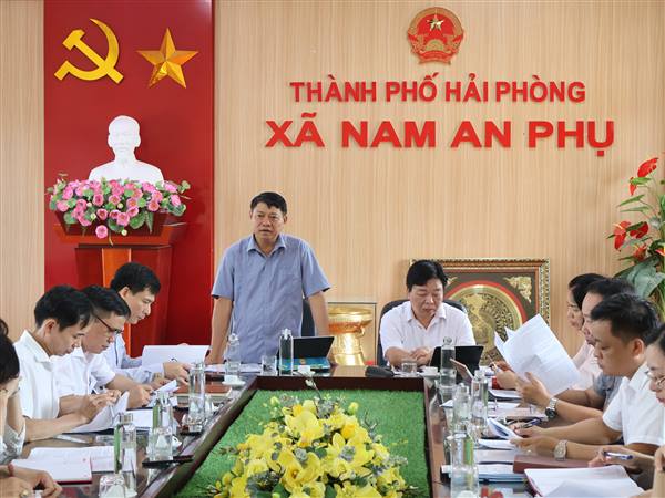 Ban Đô thị HĐND thành phố giám sát kết quả thực hiện Chương trình mục tiêu quốc gia xây dựng nông thôn mới tại xã Nam An Phụ