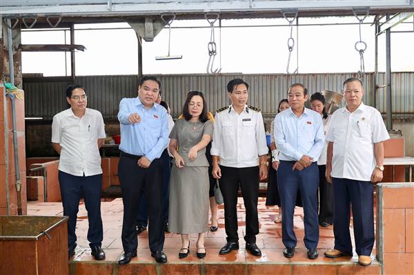 Đoàn ĐBQH thành phố giám sát chuyên đề về an toàn thực phẩm tại Công ty Cổ phần Chế biến thực phẩm xanh Vinh Phát