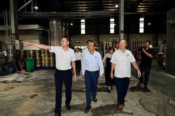 Đoàn Đại biểu Quốc hội thành phố giám sát chuyên đề về an toàn thực phẩm tại Công ty Cổ phần Bia Hà Nội - Hải Phòng