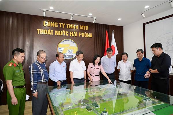 Đoàn Đại biểu Quốc hội thành phố giám sát tình hình thực hiện chính sách, pháp luật về thoát nước và xử lý nước thải