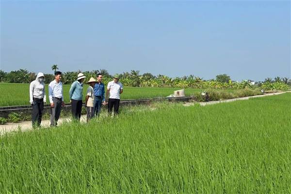 Đề xuất chính sách hỗ trợ đào tạo nghề cho người lao động khu vực nông thôn và thanh niên