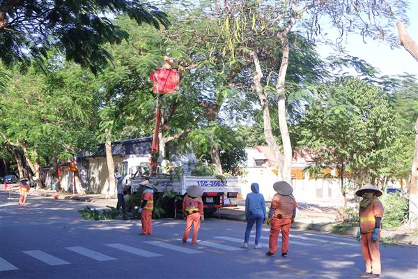 Phường Đồ Sơn triển khai thi công sớm các hạng mục mở rộng tuyến đường Lý Thái Tổ tại Khu I Đồ Sơn