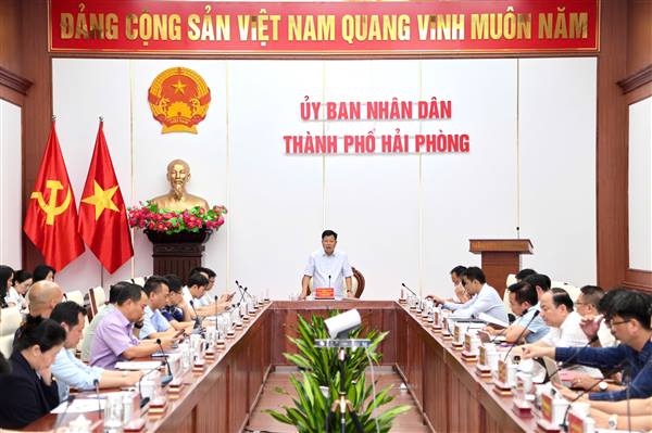 Tháo gỡ vướng mắc GPMB các Khu công nghiệp, Cụm công nghiệp và Dự án nâng cấp Đường tỉnh 391 qua xã Đại Sơn