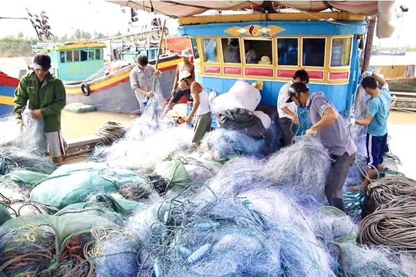 Tăng cường công tác bảo vệ, phát triển nguồn lợi thủy sản trên địa bàn thành phố