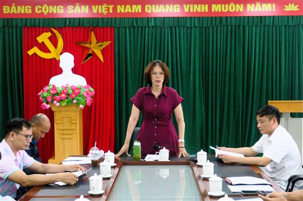 Rà soát các điều kiện để tổ chức thành công giải Bơi trong bể Đại hội Thể dục thể thao thành phố Hải Phòng lần thứ X năm 2025 - 2026