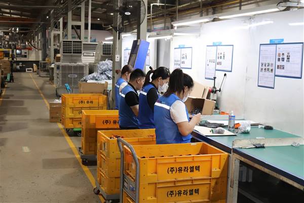UBND thành phố chỉ đạo nâng cao hiệu quả quản lý, giám sát và xử lý các vấn đề quan hệ lao động trên địa bàn thành phố 