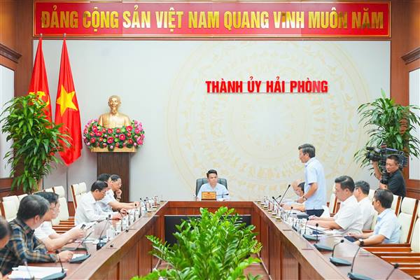 Thường trực Thành ủy nghe báo cáo, cho ý kiến về một số nội dung quan trọng của thành phố