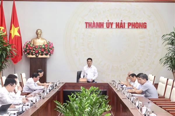 Thường trực Thành ủy cho ý kiến về các Đề án phát triển văn hóa, giáo dục và thể thao của thành phố trong giai đoạn tới