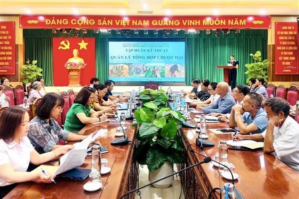 Xã An Lão hướng dẫn, tập huấn kỹ thuật duyệt chuột và phòng bệnh gây hại trên lúa cho nông dân
