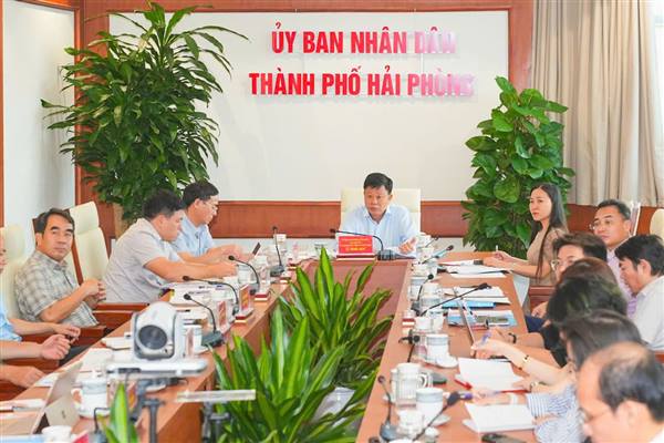 Đẩy nhanh các điều kiện, khẩn trương chuẩn bị tổ chức phố đi bộ và phát triển kinh tế đêm tại khu vực dải vườn hoa trung tâm thành phố