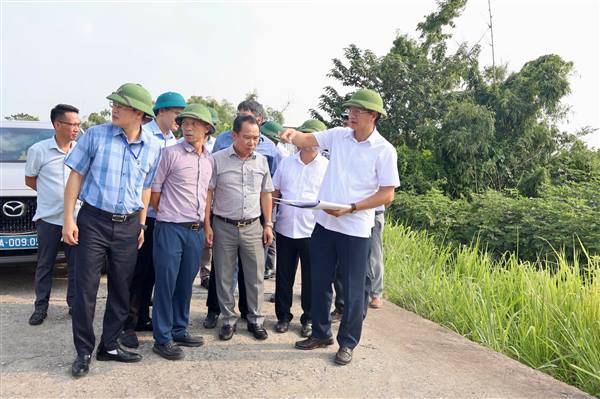 Tập trung giải phóng mặt bằng Dự án đường sắt tốc độ cao Hà Nội - Quảng Ninh đoạn qua thành phố Hải Phòng
