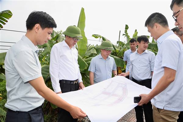Các phường An Phong, An Dương, An Hải nghiêm túc triển khai Nghị quyết số 11-NQ/TU ngày 15/7/2026 của Thành ủy