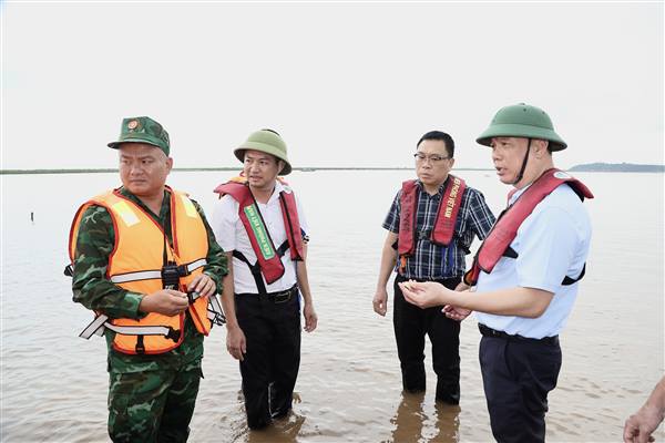 Xã Kiến Hải tăng cường quản lý hoạt động nuôi ngao, bảo đảm sử dụng hiệu quả tài nguyên biển