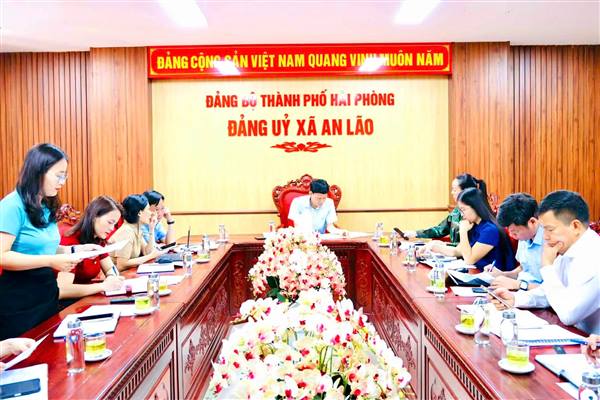 Xã An Lão tiếp tục thực hiện hiệu quả Chiến dịch chuyển đổi số trong công tác Đảng


