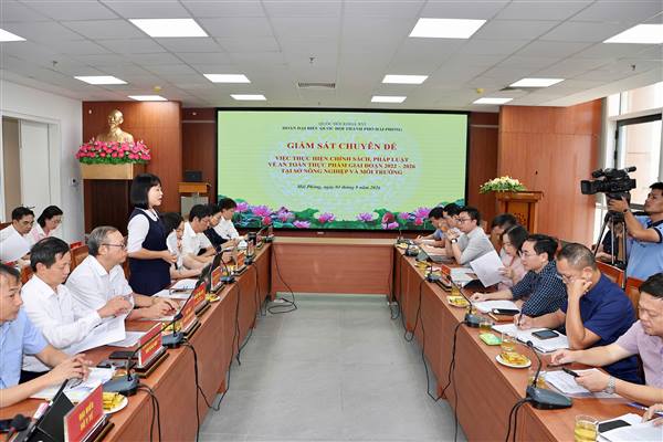 Đoàn Đại biểu Quốc hội thành phố giám sát việc thực hiện chính sách pháp luật về an toàn thực phẩm tại Sở Nông nghiệp và Môi trường