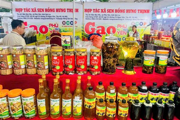 Tuần lễ Nông sản OCOP và Đặc sản Vùng miền năm 2026 dự kiến diễn ra  từ ngày 15 đến 20/10 