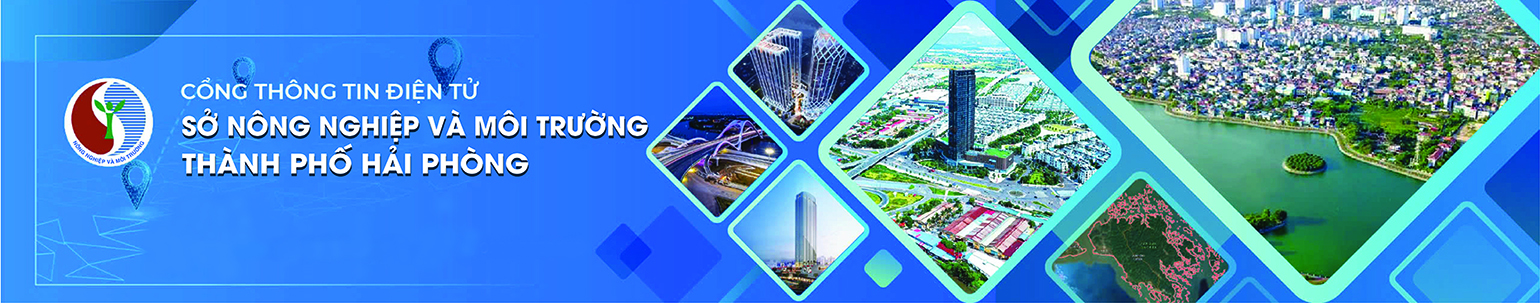 image banner