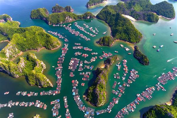 
Hai Phong strives to reach 25 million tourists by 2030