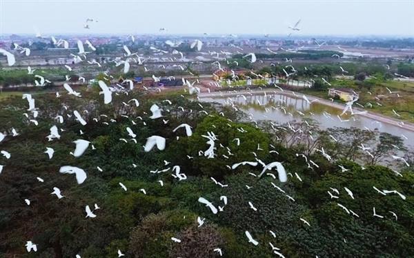 
Developing a sustainable ecotourism model