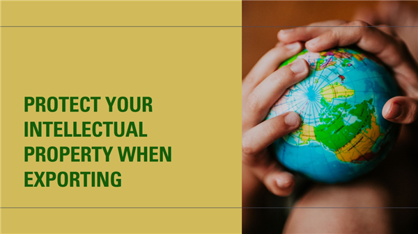 
Intellectual property rights protection for export products
