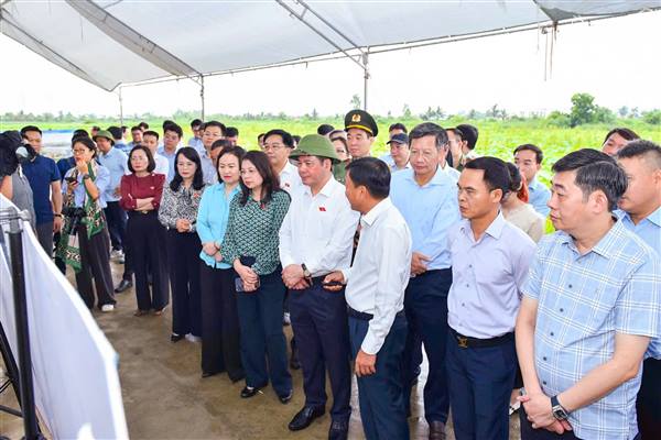 
Delegation of national assembly's economic and financial committee works in Hai Phong