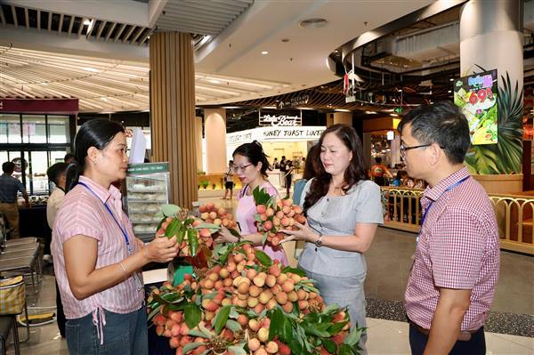 “Thanh Ha Lychee and Outstanding OCOP Products Promotion Week 2026” Held at AEON Mall Hai Phong