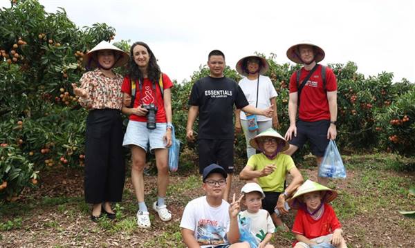 
Enhancing tourist experiencing during the lychee harvest season