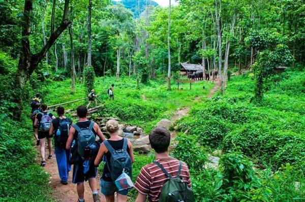 
Developing Eco - tourism