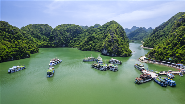 
Hai Phong promotes green tourism growth
