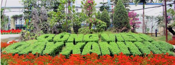 
Expanding green spaces across the city