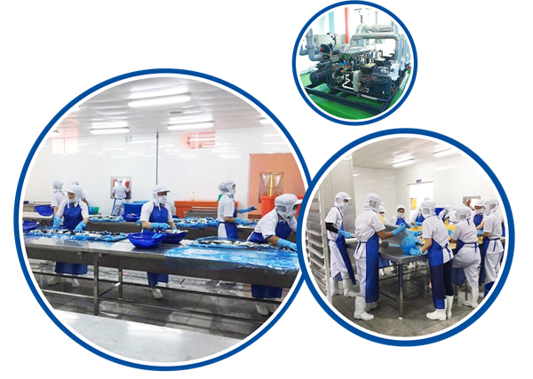 
Hai Phong expands seafood markets adds value to fisheries
