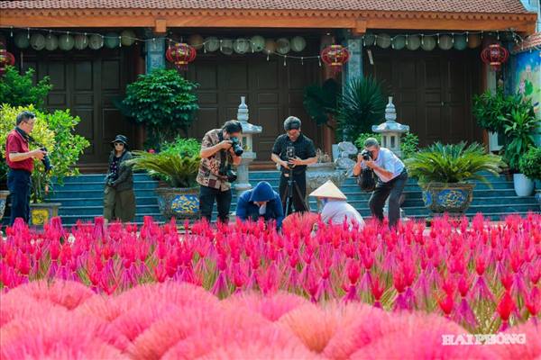 
Hai Phong photographers capture traditional craft villages