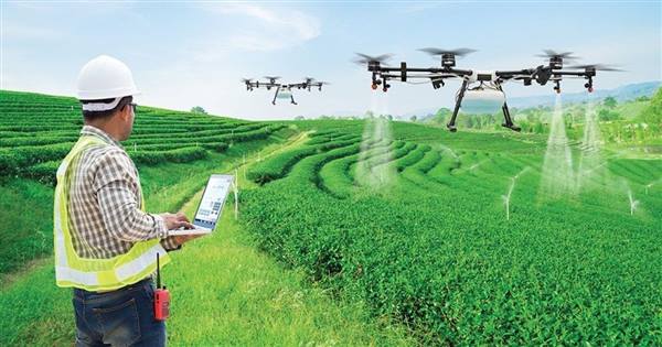 
Developing agricultural tourism