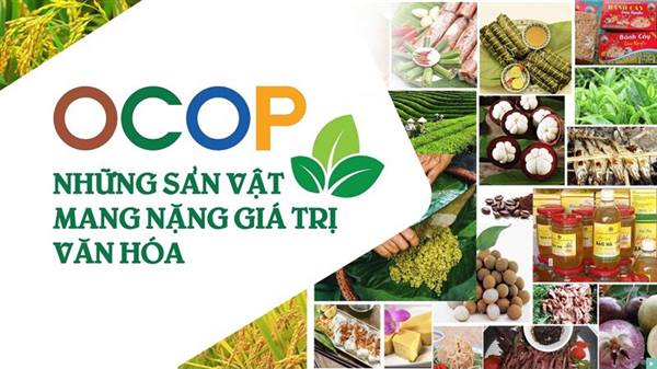 
Digital technology boosts promotion of OCOP products