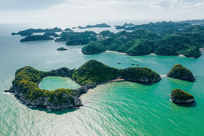 
Cat Ba national park hosts multiple ecosystem