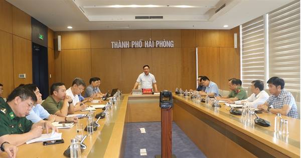 HẢI PHÒNG TRIỂN KHAI KHẨN CẤP CÔNG TÁC ỨNG PHÓ VỚI BÃO SỐ 11 (MATMO) - Thông báo số 558/TB-VP ngày 04/10/2025