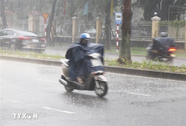 Sở Xây dựng Hải Phòng triển khai ứng phó bão số 10 và mưa lũ, sạt lở đất - Văn bản số 7573/SXD-BCH ngày 28/9/2025